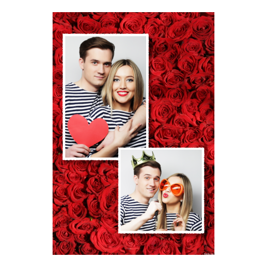 307-2-PK-255-Red_Rose_Day-144
