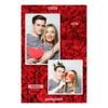 307-2-PK-255-Red_Rose_Day-144T