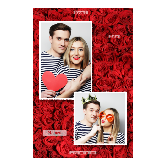 307-2-PK-255-Red_Rose_Day-144T