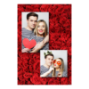 307-2-PK-BR-Red_Rose_Day-144