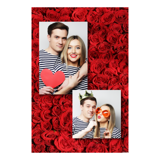 307-2-PK-BR-Red_Rose_Day-144