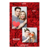 307-2-PK-BR-Red_Rose_Day-144T