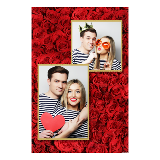 308-2-KP-146-Red_Rose_Day-144