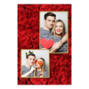 309-2-PK-146-Red_Rose_Day-144