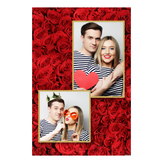 309-2-PK-146-Red_Rose_Day-144