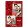 309-2-PK-146-Red_Rose_Day-144T