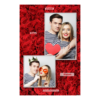 309-2-PK-191-Red_Rose_Day-144T