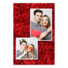 309-2-PK-255-Red_Rose_Day-144