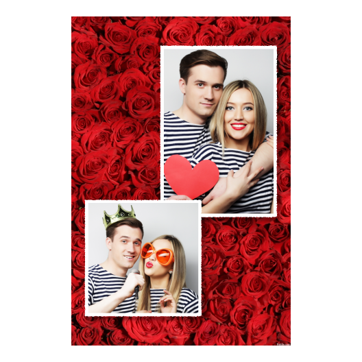 309-2-PK-255-Red_Rose_Day-144