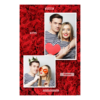 309-2-PK-255-Red_Rose_Day-144T