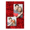309-2-PK-BR-Red_Rose_Day-144