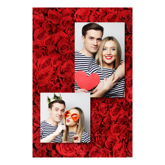 309-2-PK-BR-Red_Rose_Day-144