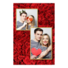 310-2-KP-146-Red_Rose_Day-144