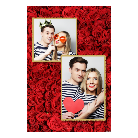 310-2-KP-146-Red_Rose_Day-144