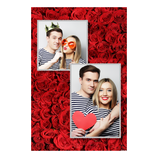 310-2-KP-191-Red_Rose_Day-144