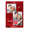 310-2-KP-191-Red_Rose_Day-144T