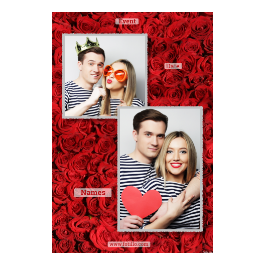 310-2-KP-191-Red_Rose_Day-144T