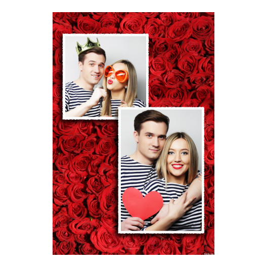 310-2-KP-255-Red_Rose_Day-144