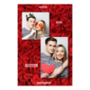 310-2-KP-BR-Red_Rose_Day-144T