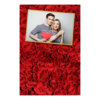 312-1-H-146-Red_Rose_Day-144