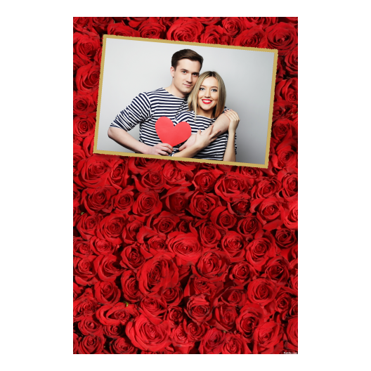 312-1-H-146-Red_Rose_Day-144