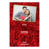 312-1-H-146-Red_Rose_Day-144T