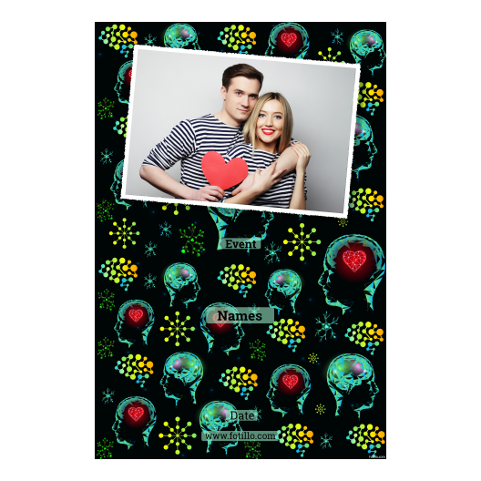 312-1-H-255-Brain_Day-015T