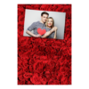 312-1-H-BR-Red_Rose_Day-144