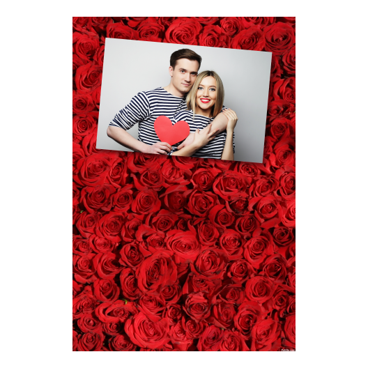 312-1-H-BR-Red_Rose_Day-144