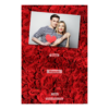 312-1-H-BR-Red_Rose_Day-144T