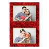 313-2-HH-146-Red_Rose_Day-144