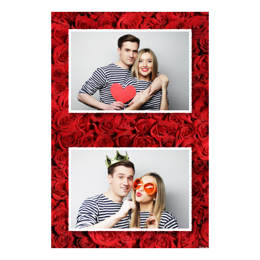 313-2-HH-255-Red_Rose_Day-144