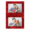 313-2-HH-BR-Red_Rose_Day-144