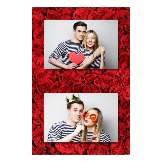 313-2-HH-BR-Red_Rose_Day-144