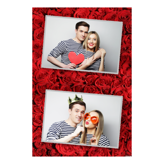 314-2-HH-191-Red_Rose_Day-144