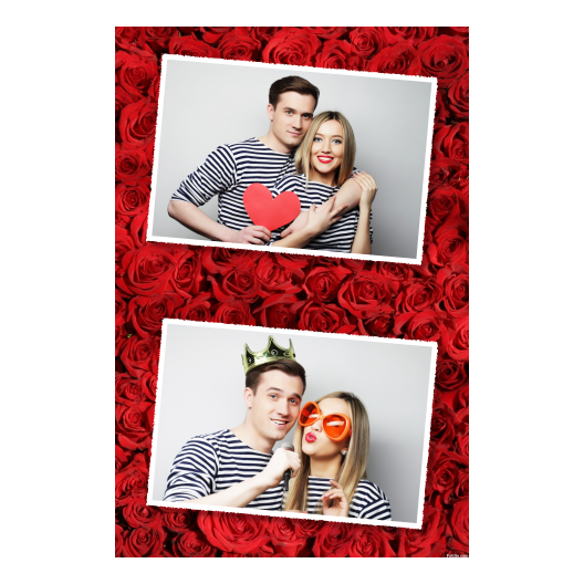 314-2-HH-255-Red_Rose_Day-144