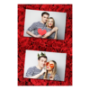 314-2-HH-BR-Red_Rose_Day-144