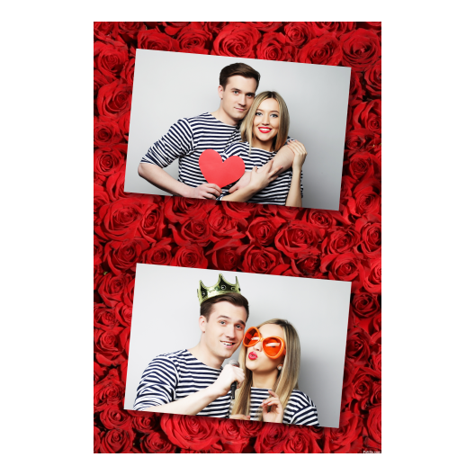 314-2-HH-BR-Red_Rose_Day-144