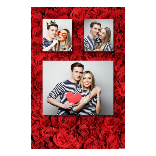 319-3-KKH-BR-Red_Rose_Day-144