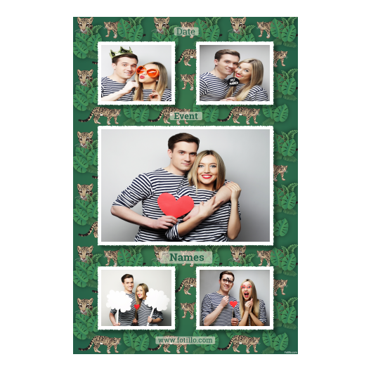 321-5-KKHKK-255-Clouded_Leopard_Day-069T