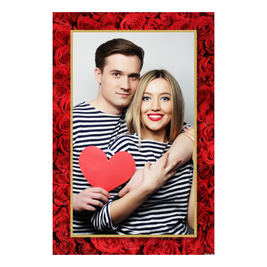 322-1-P-146-Red_Rose_Day-144