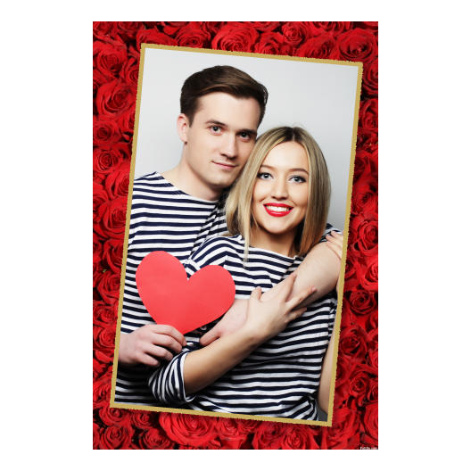 323-1-P-146-Red_Rose_Day-144