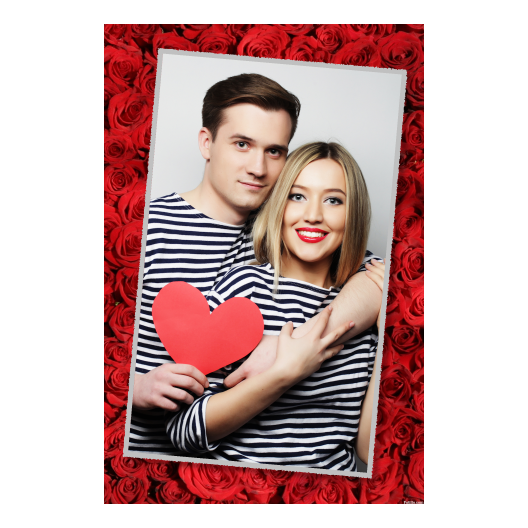 323-1-P-191-Red_Rose_Day-144