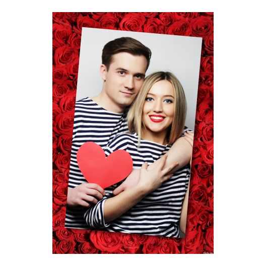 323-1-P-BR-Red_Rose_Day-144