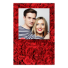 324-1-K-BR-Red_Rose_Day-144