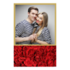 325-1-K-146-Red_Rose_Day-144