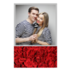 325-1-K-191-Red_Rose_Day-144