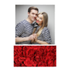 325-1-K-255-Red_Rose_Day-144