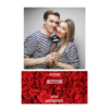 325-1-K-255-Red_Rose_Day-144T