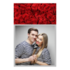 326-1-K-191-Red_Rose_Day-144